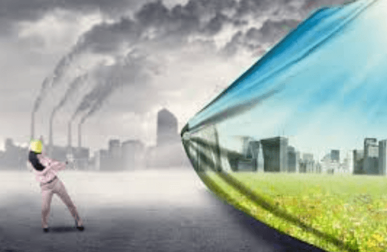 The Rise of Clean Tech Startups